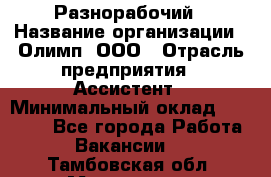 Разнорабочий › Название организации ­ Олимп, ООО › Отрасль предприятия ­ Ассистент › Минимальный оклад ­ 25 000 - Все города Работа » Вакансии   . Тамбовская обл.,Моршанск г.